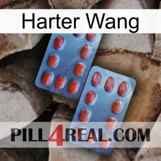 Hard Wang 05